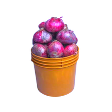 Onions bucket of Onions