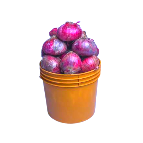 Onions bucket of Onions