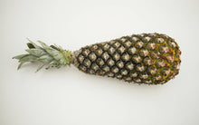 Pineapple Cotonou